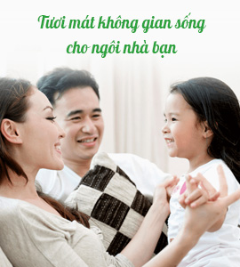 Cơ điện lạnh Việt Xanh